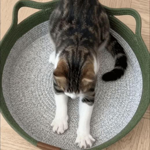 Cesta NaturaPurr™ — Rascador Natural 3 en 1