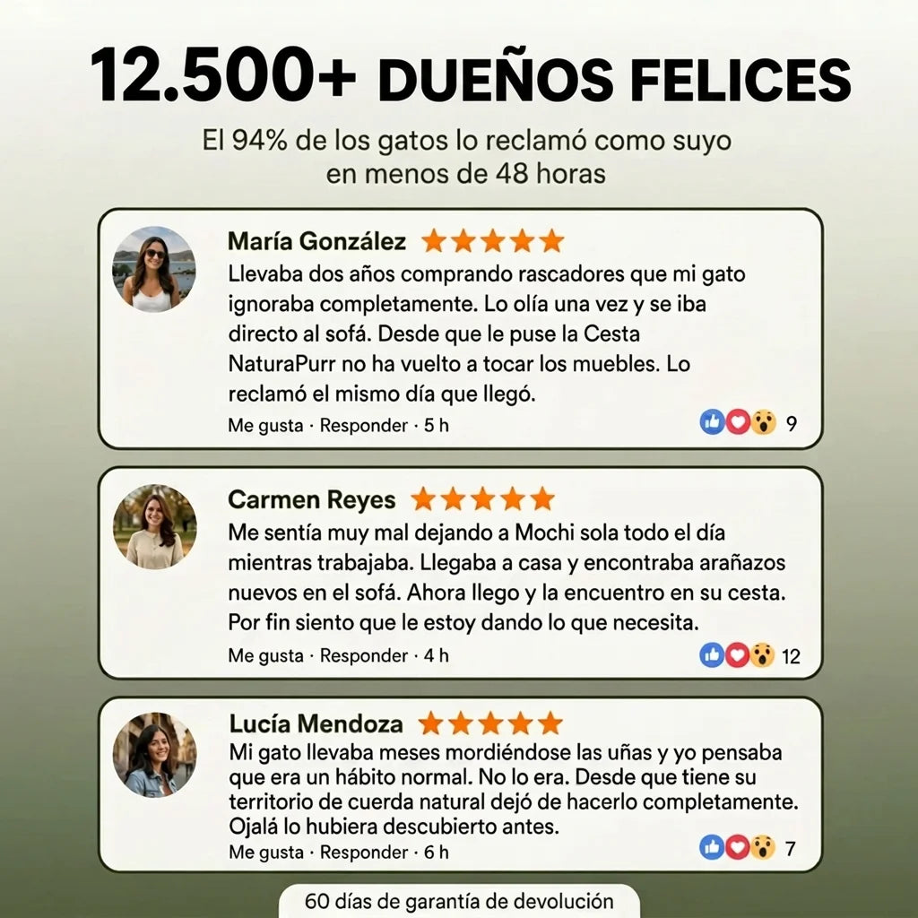 Cesta NaturaPurr™ — Rascador Natural 3 en 1